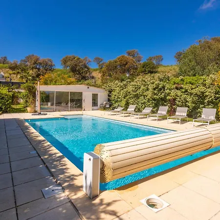 Palmier Avec Piscine Villa Roquebrune-sur Argens