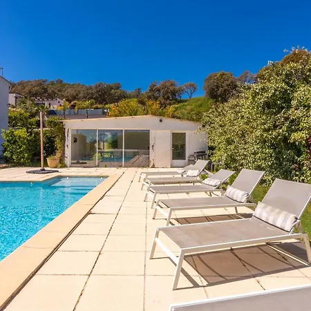 Palmier Avec Piscine Roquebrune-sur Argens