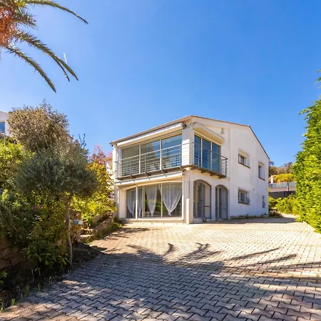 Palmier Avec Piscine Villa